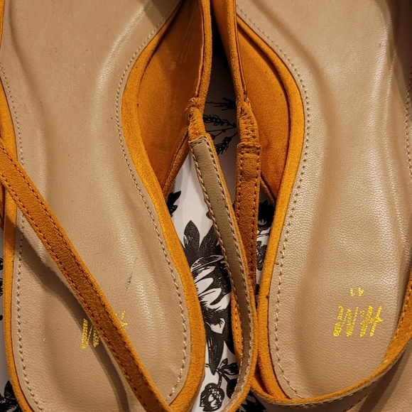 Slides - Picture 4 of 7